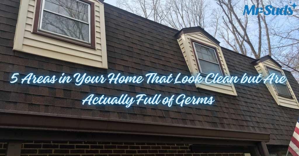 5 Areas in Your Home That Look Clean but Are Actually Full of Germs