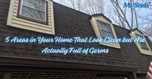 5 Areas in Your Home That Look Clean but Are Actually Full of Germs
