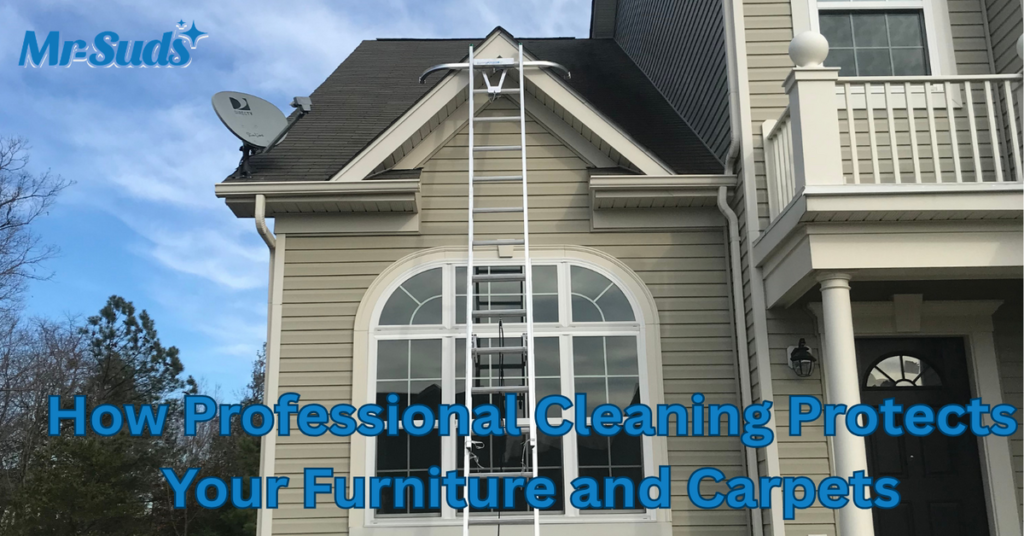 How Professional Cleaning Protects Your Furniture and Carpets