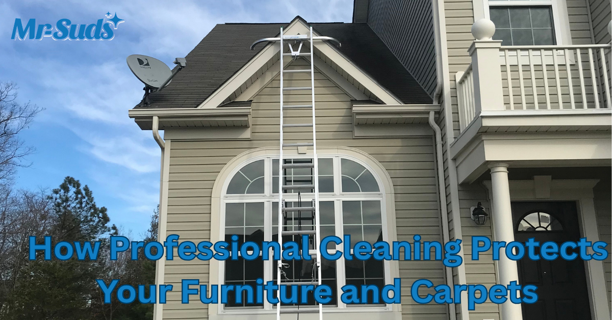 How Professional Cleaning Protects Your Furniture and Carpets