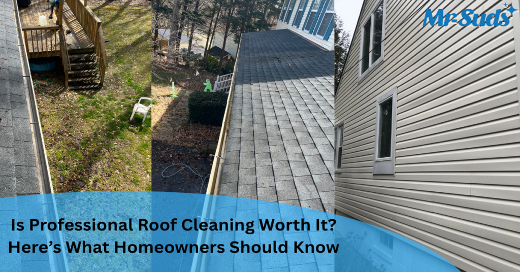 Is Professional Roof Cleaning Worth It? Here’s What Homeowners Should Know