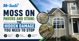 Moss on Pavers and Stone: The Hidden Damage You Need to Stop | Mr-Suds