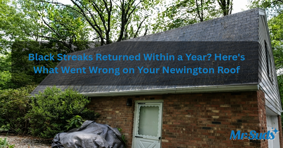 Black Streaks Back Within a Year? Newington CT Roof Fix