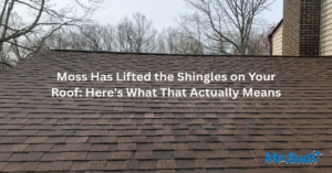 Moss Lifting Your Shingles? What CT Homeowners Should Do