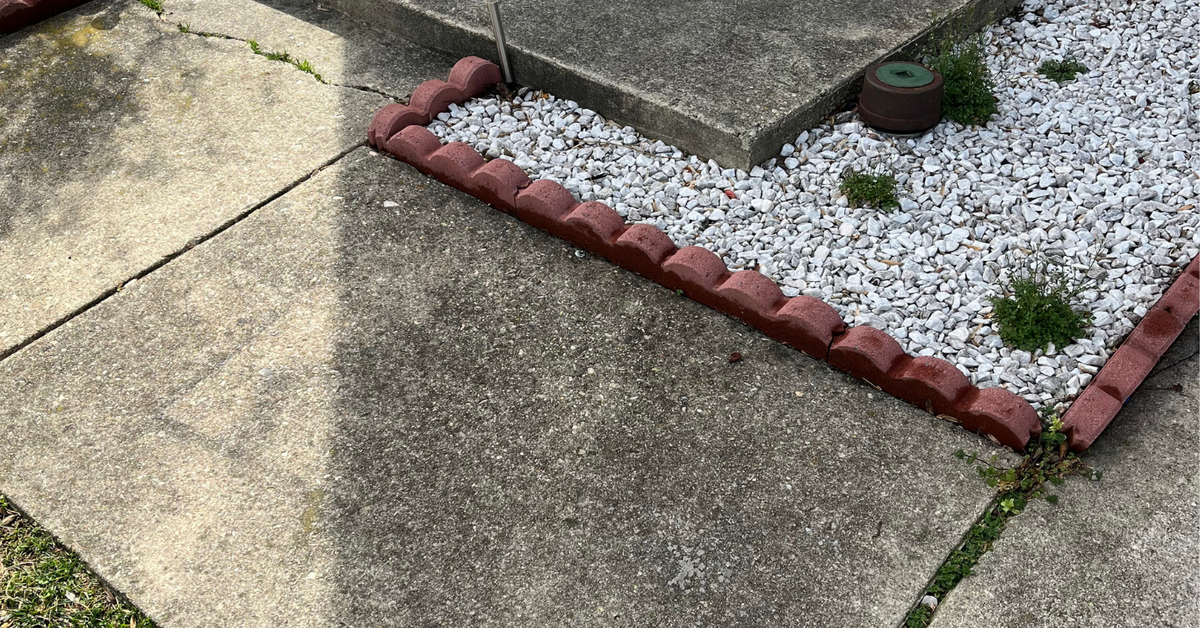 Wasp or Bee Nest Under Siding? What CT Homeowners Do Next