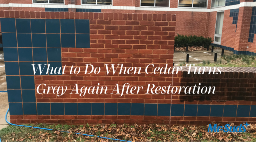 Cedar siding turning gray again after restoration due to UV exposure in Connecticut