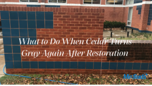 Cedar siding turning gray again after restoration due to UV exposure in Connecticut
