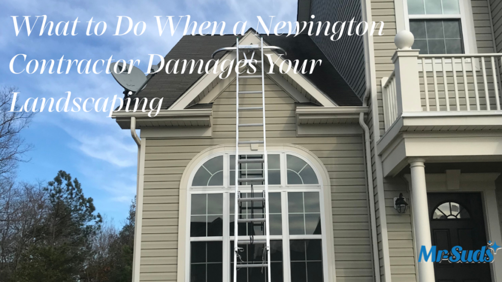 Newington CT landscaping damaged by exterior cleaning contractor runoff