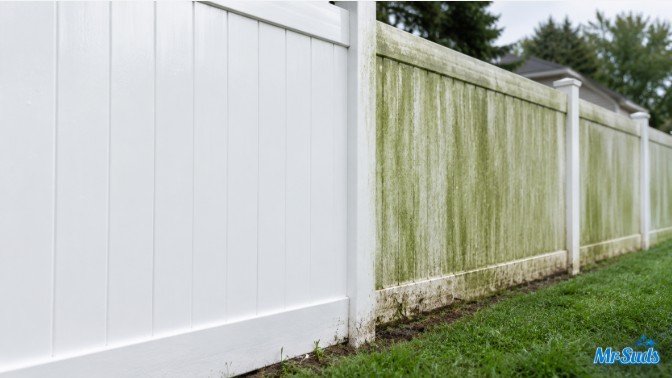 Before and After Fence Cleaning
