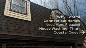 Frequent house washing in Central Connecticut to remove green algae, spring pollen and grime from home siding.