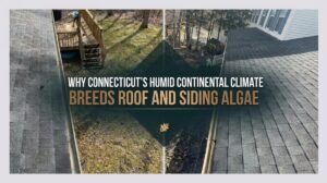 Roof and siding algae growth on a Newington CT home