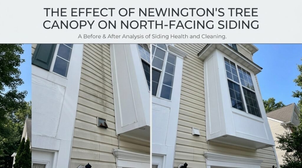 North-facing siding under tree canopy in Newington CT showing green algae buildup