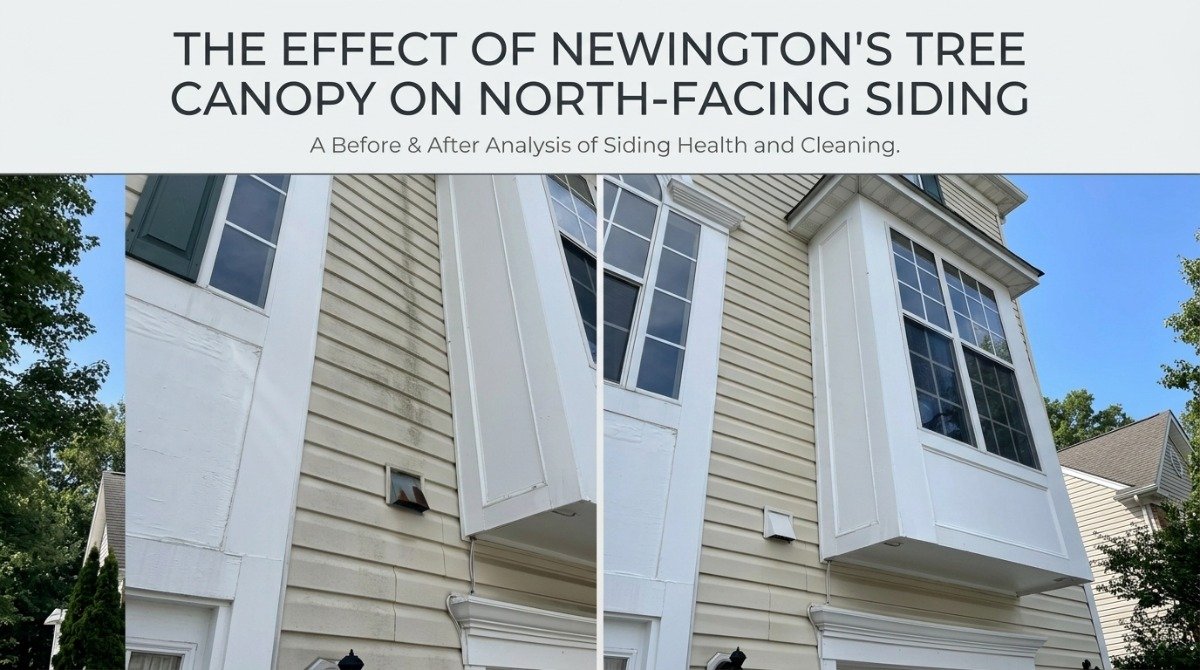 North-facing siding under tree canopy in Newington CT showing green algae buildup
