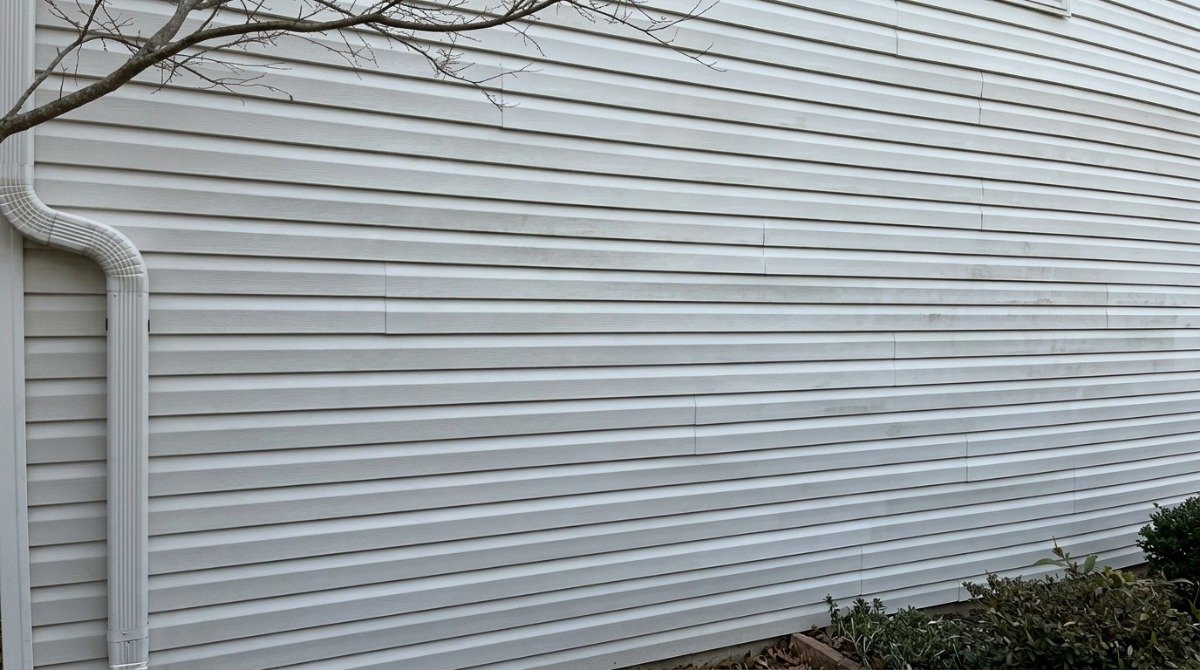 Green algae growing on north-facing vinyl siding beneath a large shade tree